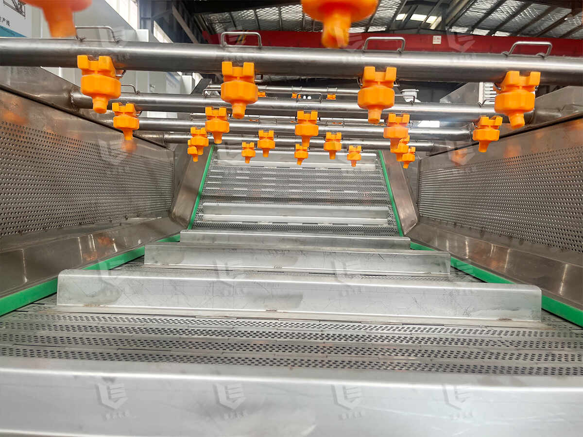 Bubble fruit and vegetable washing machine (2)