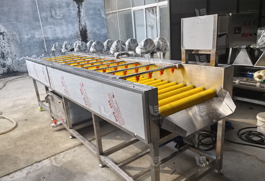 Brush-roller-washing-machine-4