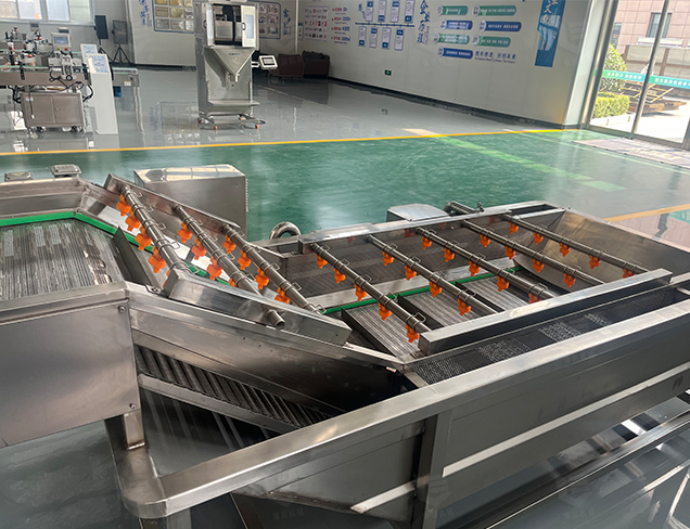 Troubleshooting of the fruit and vegetable cleaning machine