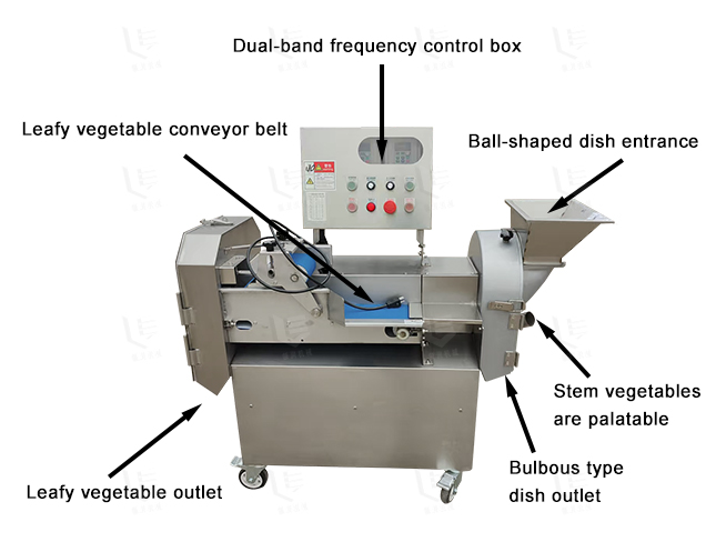 Fault diagnosis and solution of multi-function vegetable cutter